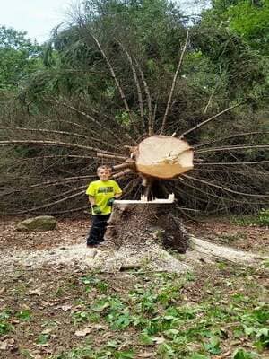 {{ custom_values.service_3 }} in {{custom_values.area_3})