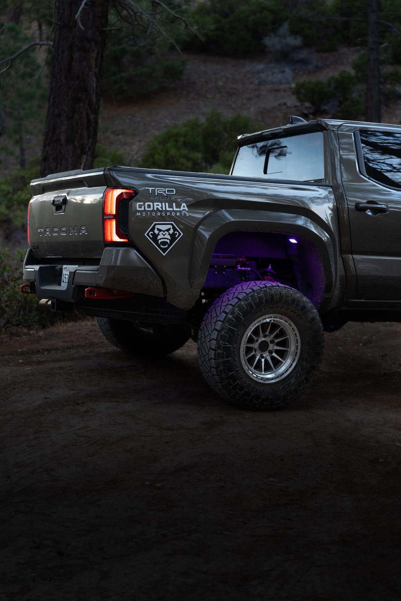 Bed & Protection — 2024 Toyota Tacoma TRD Sport