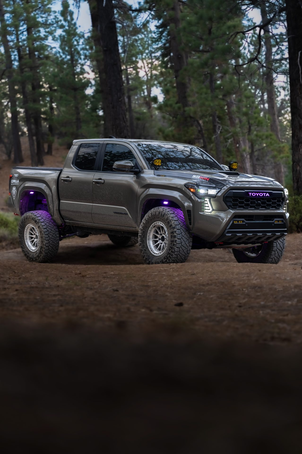 One Stock Tacoma photo