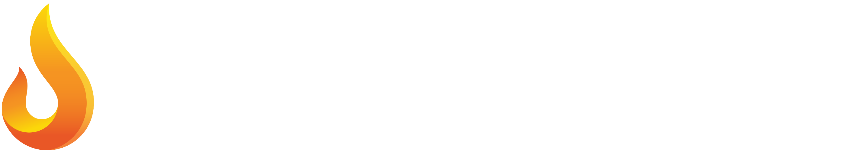 Wealth Juice