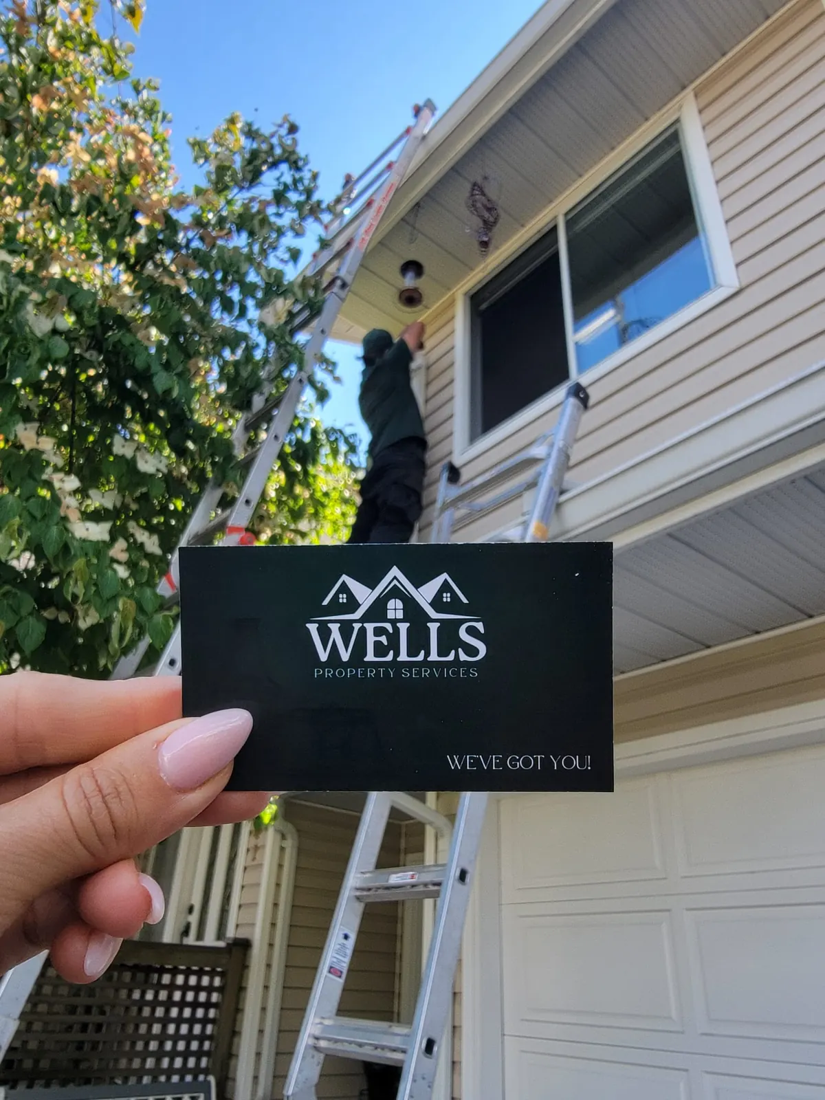 Wells Property Services crew on a ladder at a second-floor window in Metro Vancouver