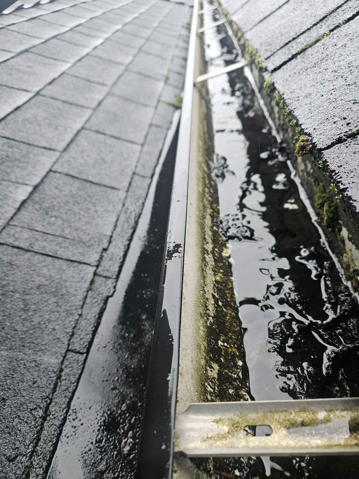 Sludge and standing water in a clogged gutter in Metro Vancouver