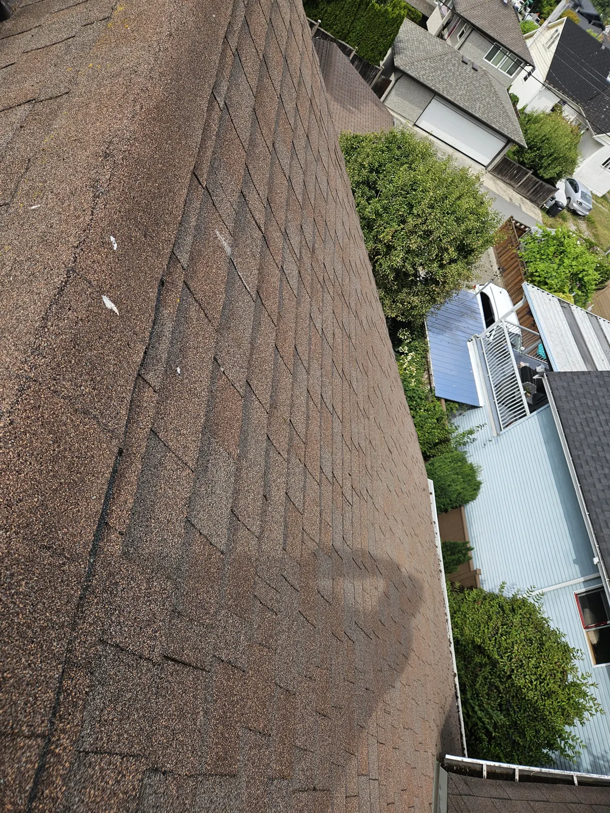 Brown asphalt shingle roof in Metro Vancouver after moss removal