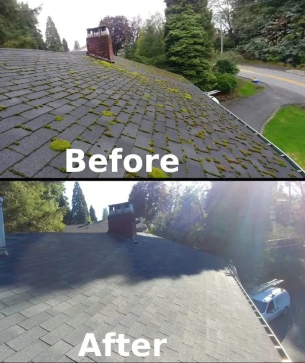 Before and after roof moss removal on a Metro Vancouver home