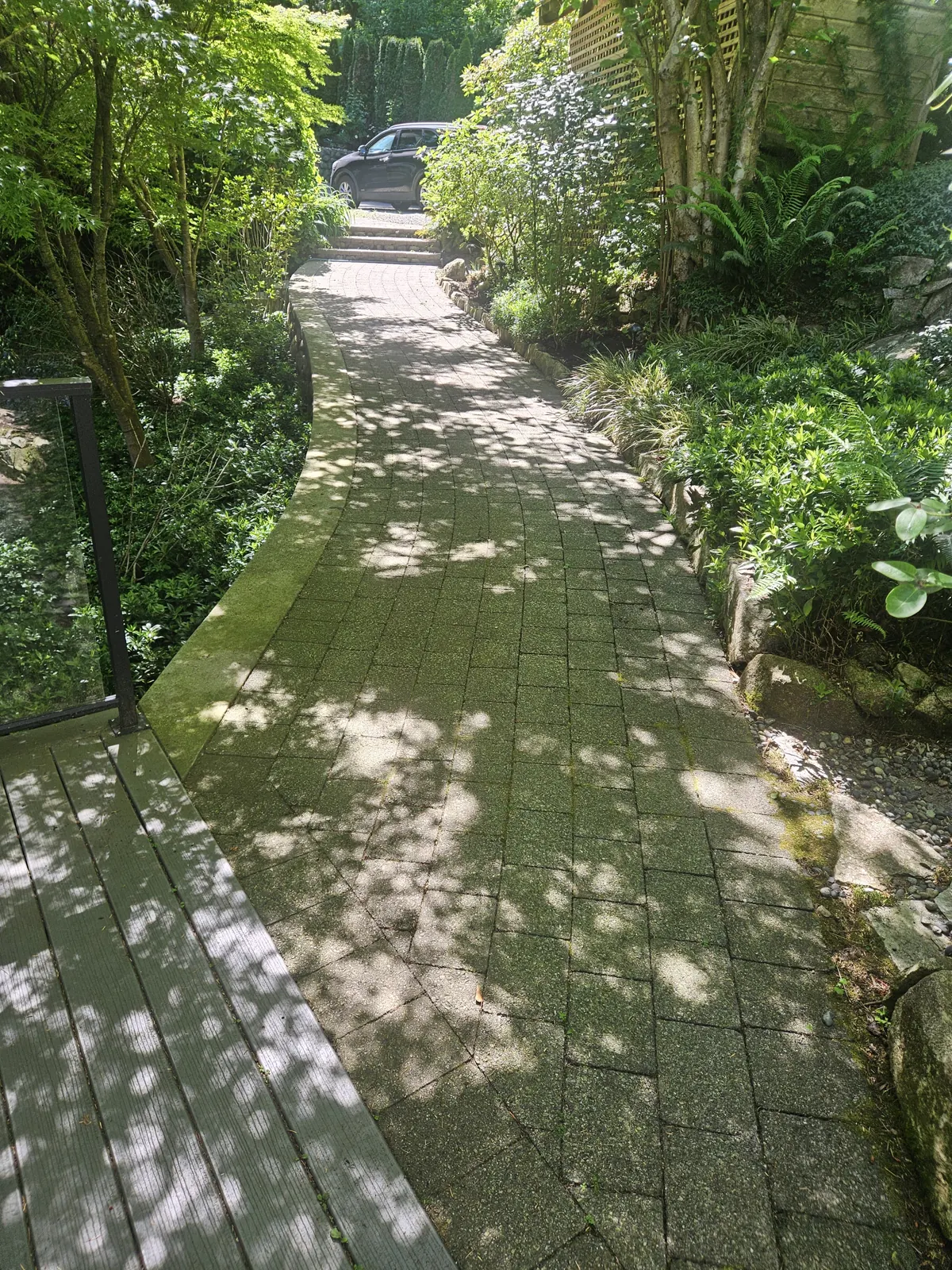Algae-covered paver walkway in Metro Vancouver before pressure washing