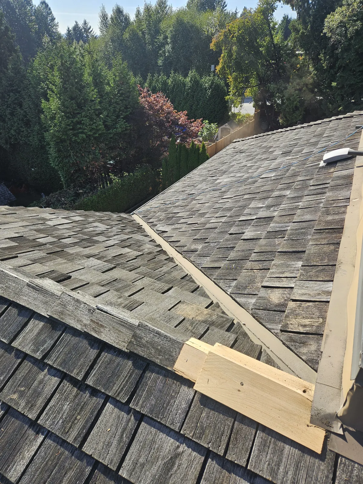 New cedar shakes being fitted during a roof repair in Metro Vancouver