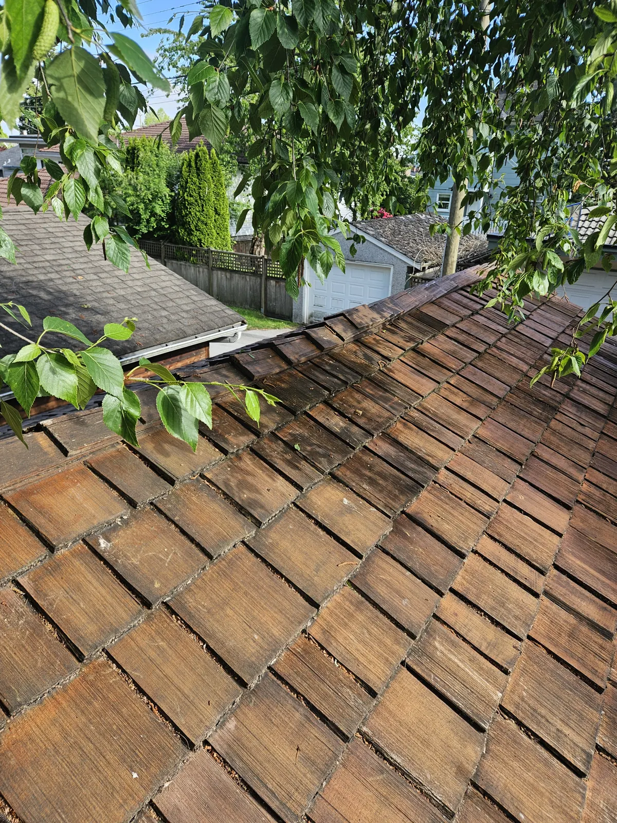 Cedar shake roof in Metro Vancouver after cleaning and restoration
