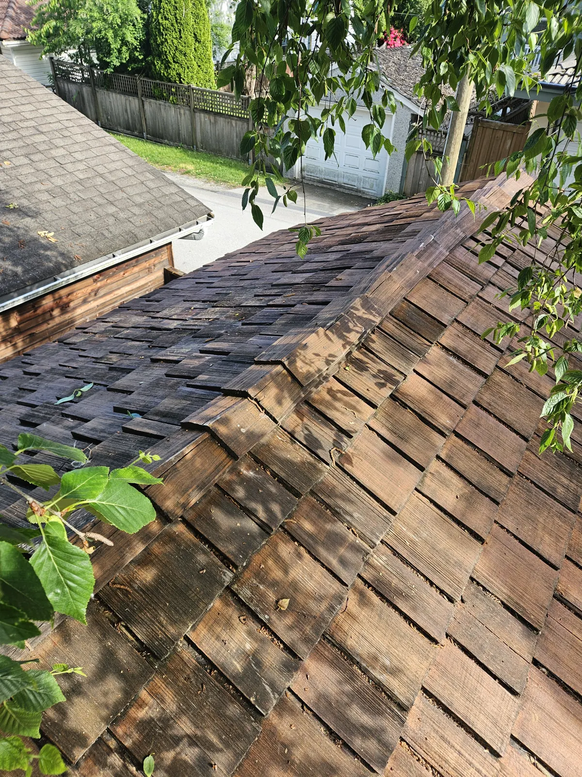 Restored cedar shake roof ridge on a Metro Vancouver home