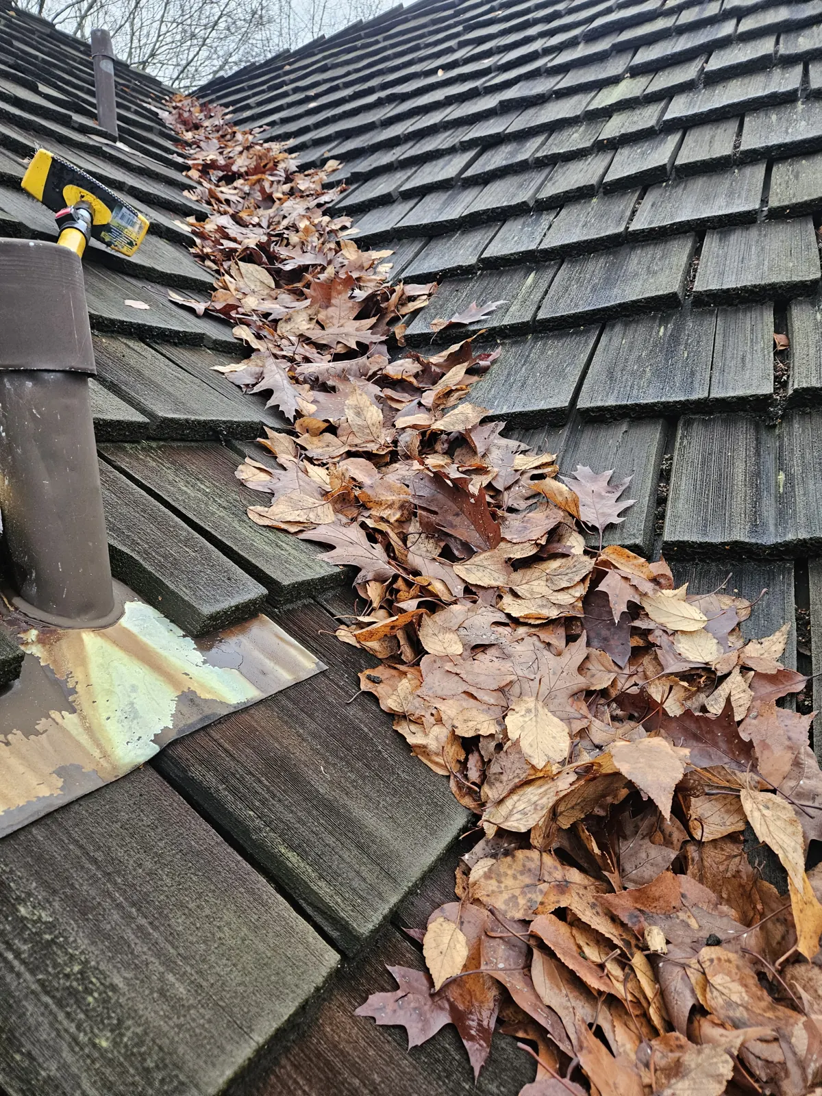 Leaves packed into a cedar shake roof valley in Metro Vancouver before clearing