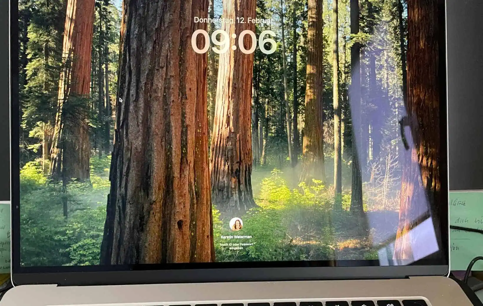Screenshot Startbildschirm Laptop mit Waldbild. Screenshot Startbildschirm Laptop mit Waldbild.