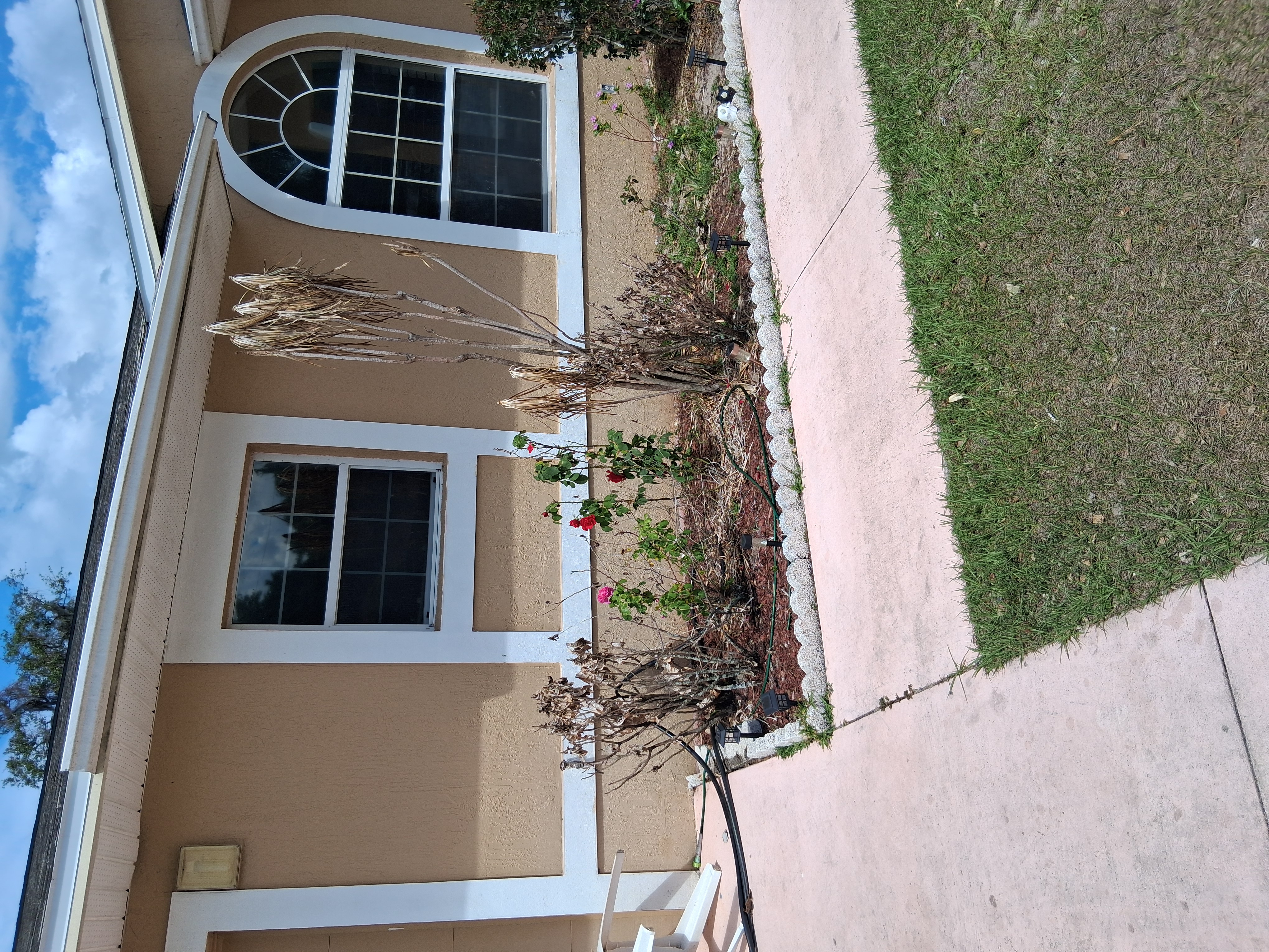 Lawn mowing project in Central Florida