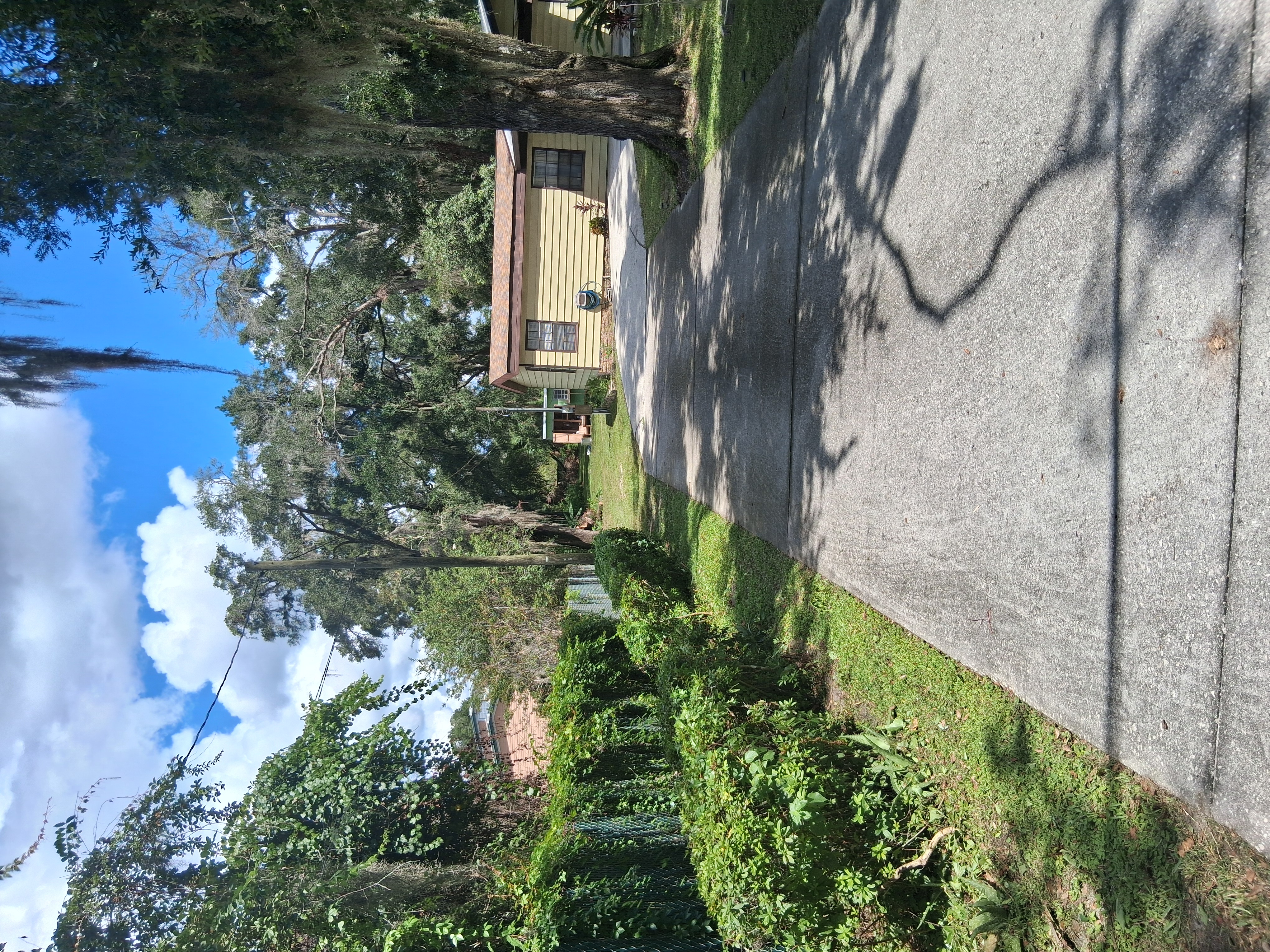 Yard cleanup service