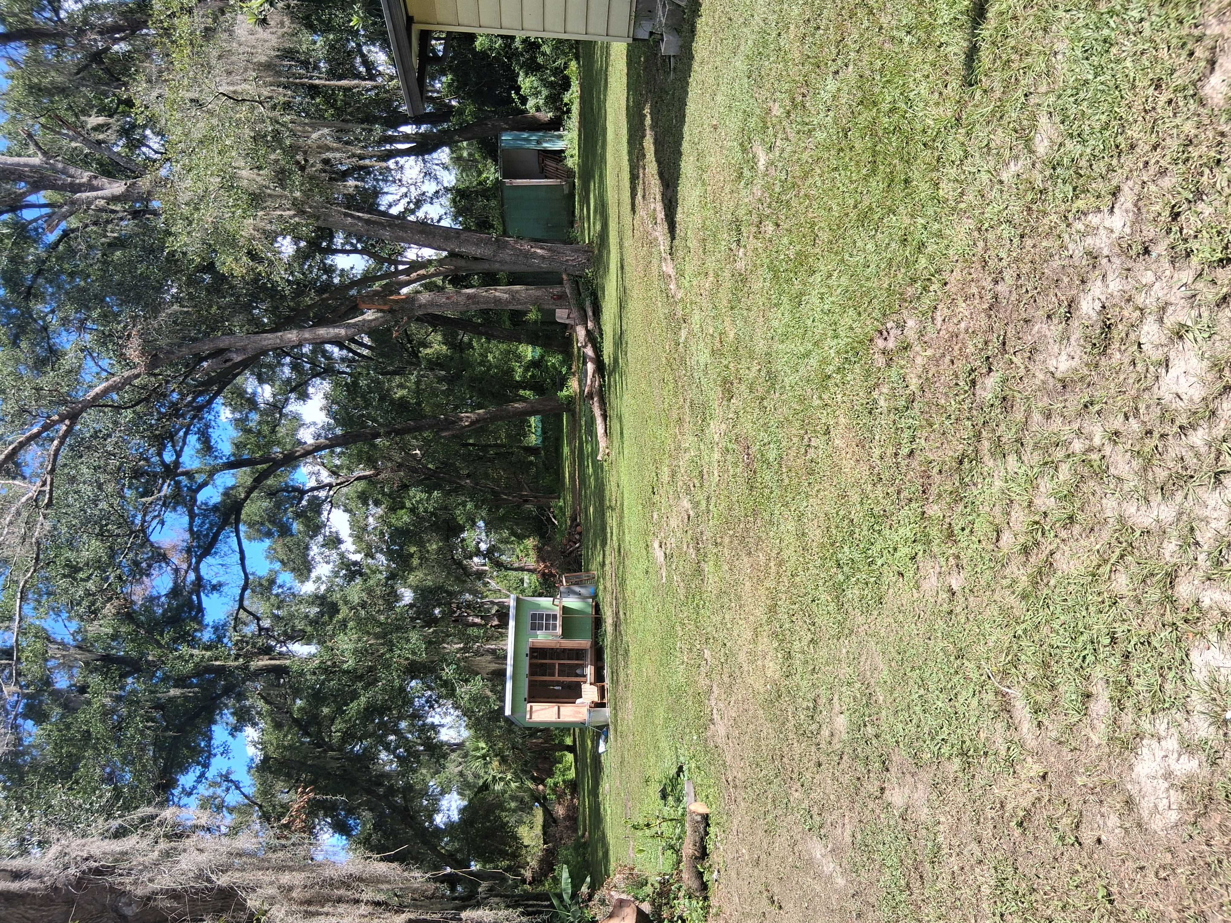 Lawn edging along a walkway