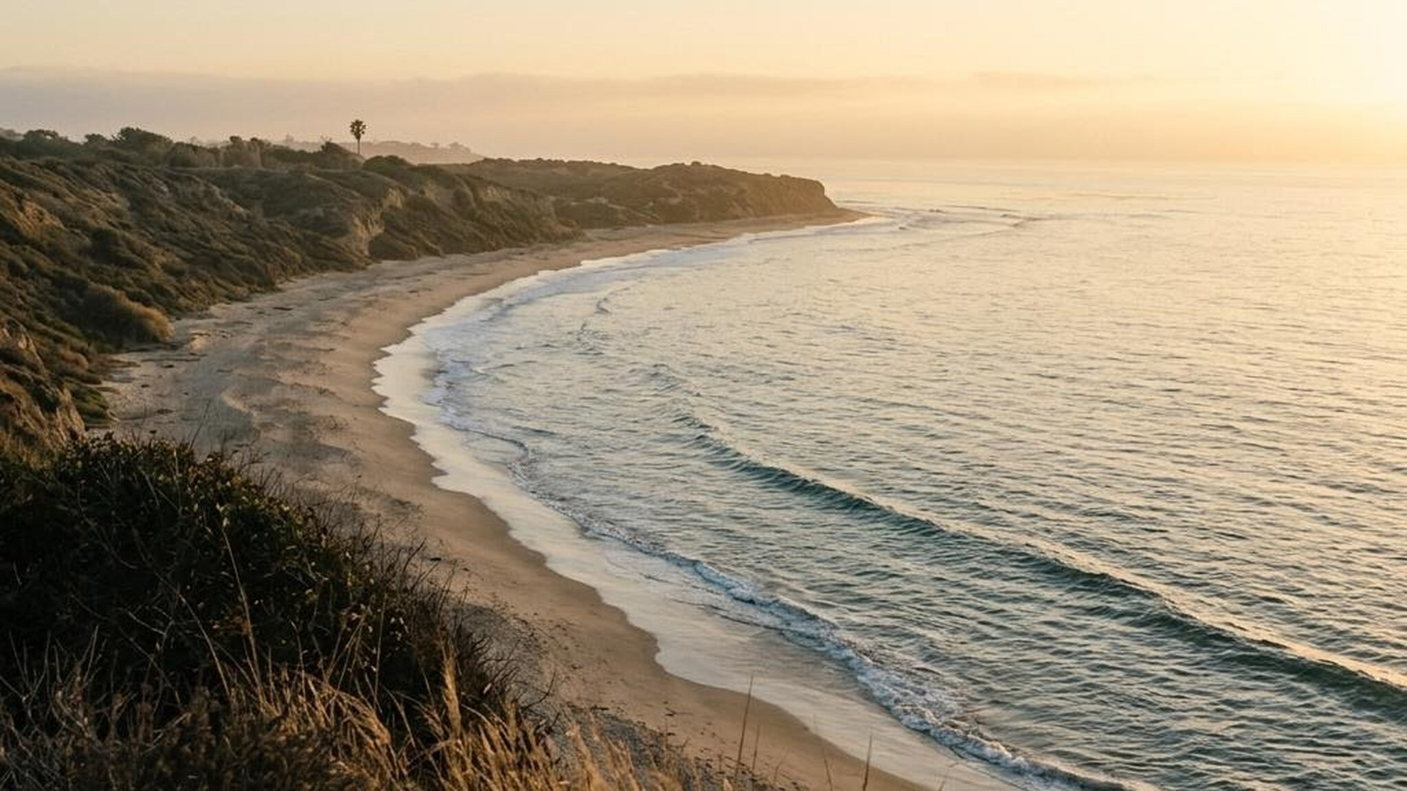 Coastal headland in warm golden-hour light