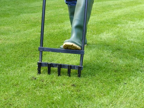 Lawn Aeration in Verona