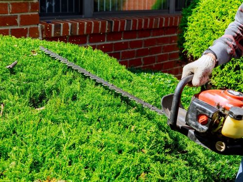 Bush Trimming in Verona