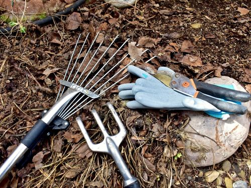 Spring Clean Up in Verona
