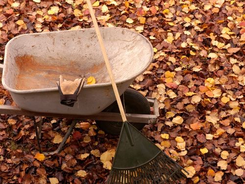 Fall Clean Up in Verona