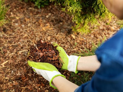 Mulching in Verona