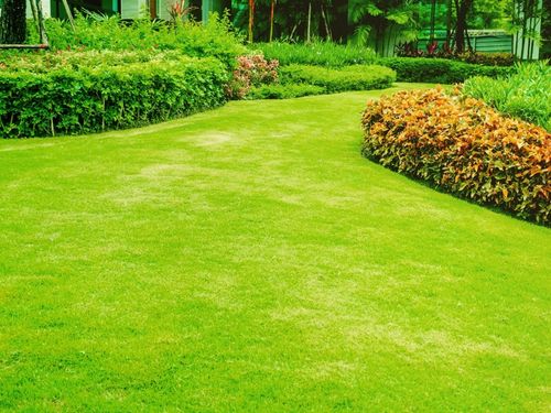 New Lawn (new construction) in Verona