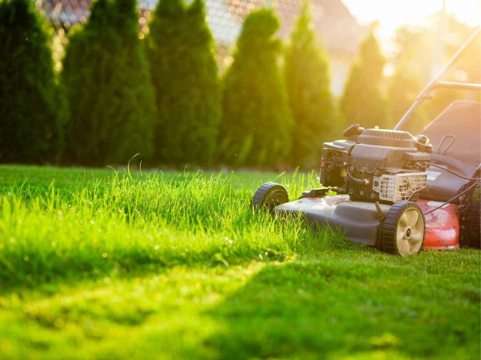 Landscaping Verona