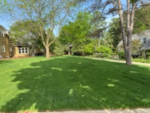 New Lawn (new construction) Verona