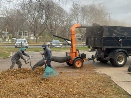 Fall Clean Up Verona