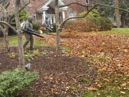 New Lawn (new construction) Verona