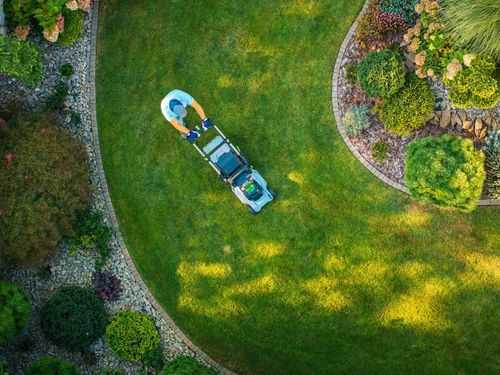 Lawn Mowing