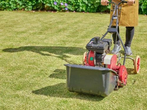 Lawn Mowing