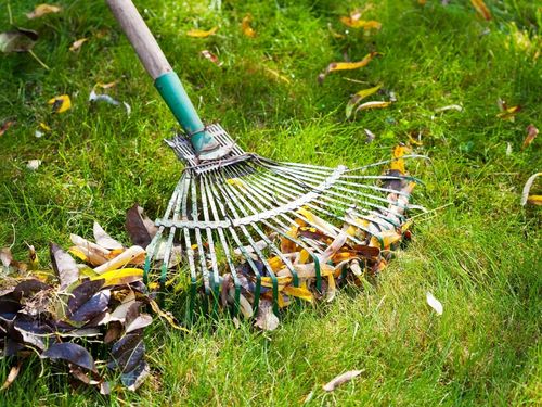 Lawn Mowing