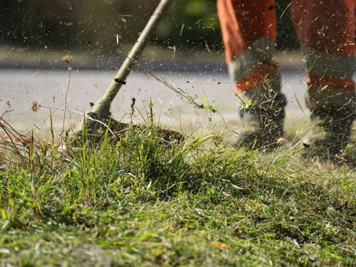 Middleton Spring Clean Up