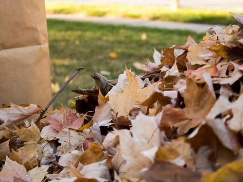 Middleton Fall Clean Up
