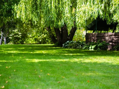 Verona Lawn Aeration