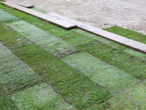 Lawn Maintenance