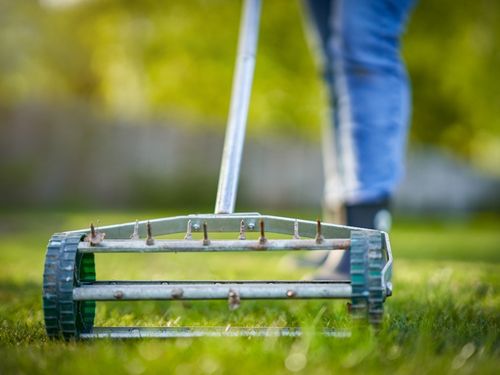 Madison Lawn Mowing