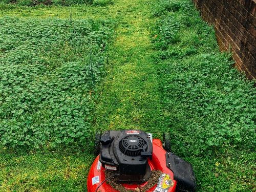 Fitchburg Lawn Aeration