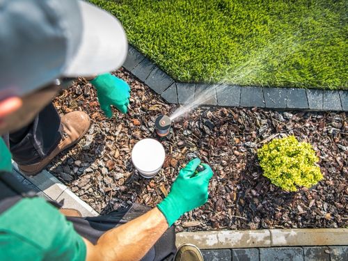  Lawn Maintenance