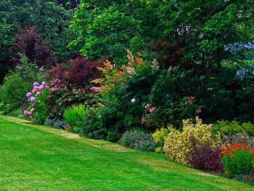 McFarland Lawn Aeration