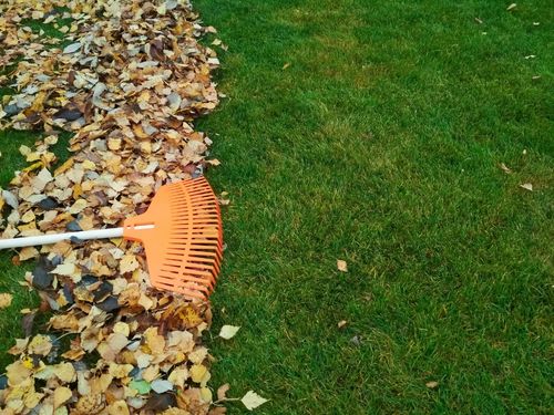  Lawn Maintenance