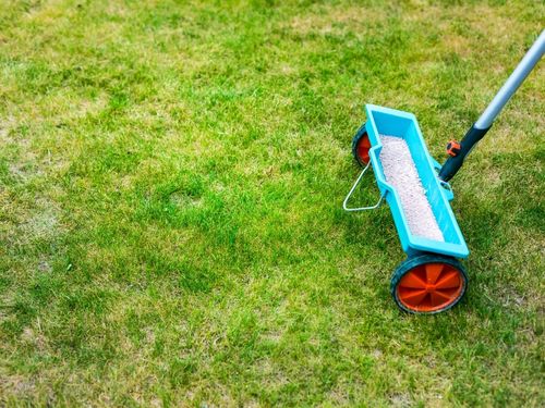 McFarland Lawn Mowing