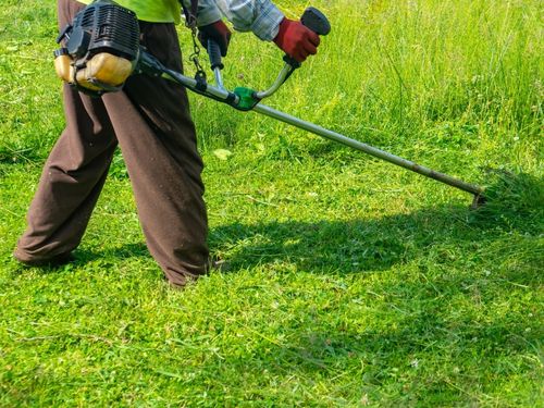 Oregon Lawn Aeration