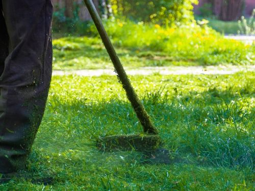  Lawn Maintenance