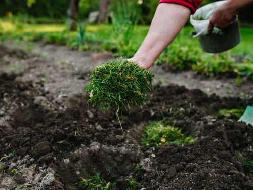 Waunakee Lawn Aeration