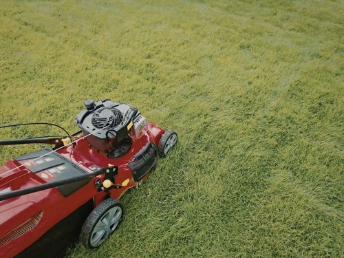  Lawn Maintenance