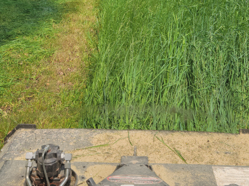  Forestry Mulching