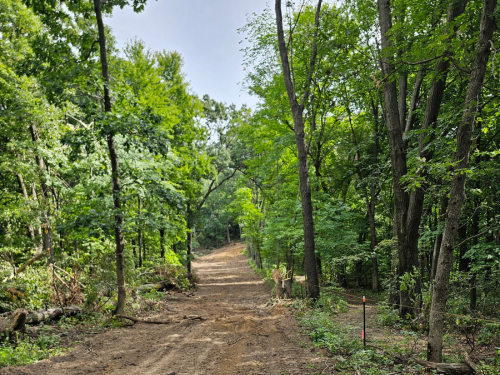 Buffalo Trail/ Road Maintenance