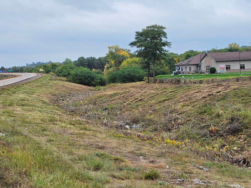 Eau Claire Tall Grass Mowing