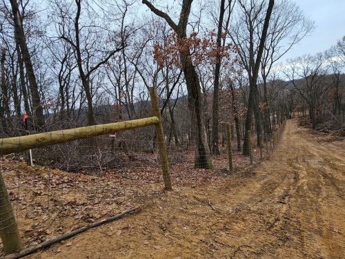 Forestry Mulching