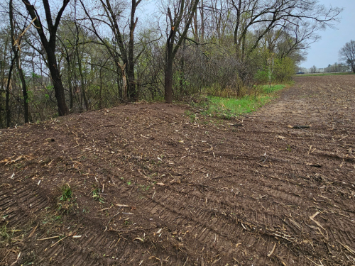  Forestry Mulching